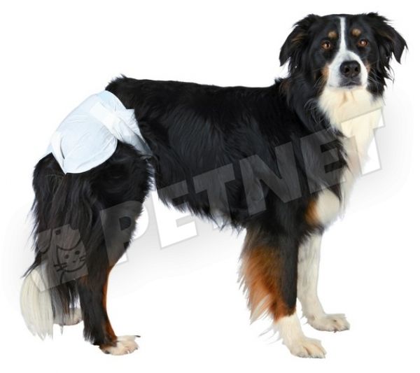 Trixie Inkontinencia pelenka szuka kutyának XL 40-58cm