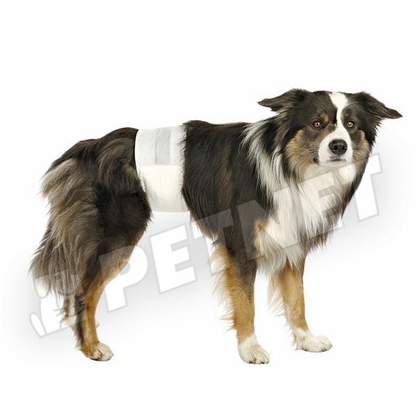 Trixie Inkontinencia pelenka kan kutyának M-L 40-60cm