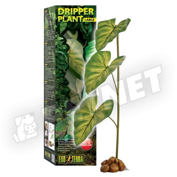 exo terra dripper plant large