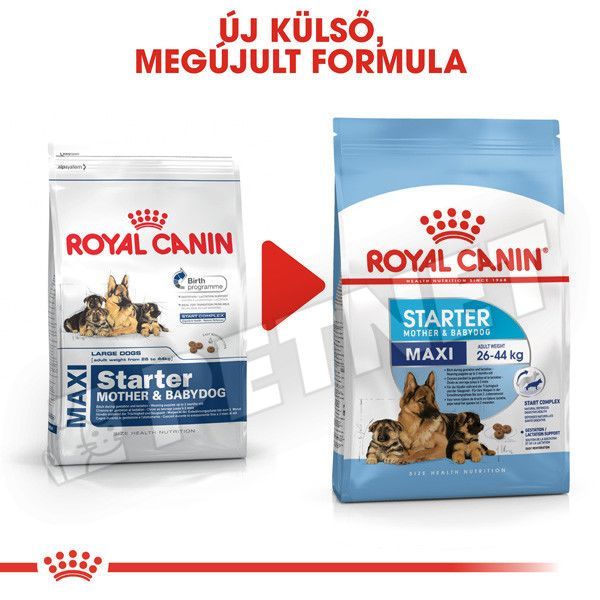 Royal Canin Maxi Starter Mother Babydog 15kg