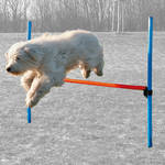 Trixie Agility Hurdle ugróakadály 1db