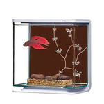 Marina Betta Kit Modern Art miniakvárium 3L