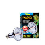 ExoTerra Halogen Basking Spot 75W