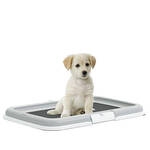 Stefanplast Puppy Training Set pelenkafeszítő keret 60x40x4cm