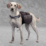 Trixie On The Trek Backpack Barna-Kék 27x16cm