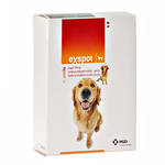 ExSpot Bőrre csepegtető oldat kutyáknak 6x1ml