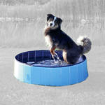 Trixie Dog Pool kutyamedence Medium 120x30cm