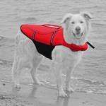 Trixie Life Vest Mentőmellény Large 36kg