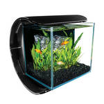 Tetra Silhouette Design akvárium készlet 12L