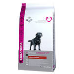 Eukanuba Labrador Retriever fajtatáp 12kg