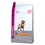 Eukanuba Golden Retriever fajtatáp 2,5kg