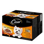 Cesar Feines Selection szószos válogatás 24x100g