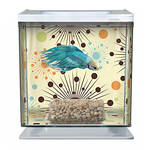 Marina Betta Kit Fireworks miniakvárium 2L