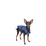 ACK Cooling Pet Jacket hűtőruha XS 42-60/32cm