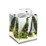 AquaEl Shrimp Set Smart LED 10 Fehér 20x20x25cm