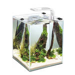 AquaEl Shrimp Set Smart LED 30 Fehér 30x30x35cm