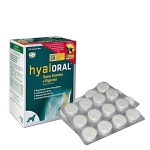 Hyaloral Large Dog ízületvédő nagytestű kutyáknak 120db