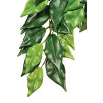 ExoTerra Jungle Plants Ficus L 60cm
