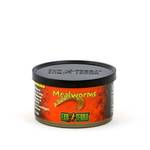 ExoTerra Mealworms 34g
