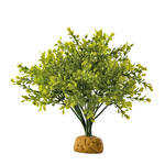 ExoTerra Rainforest Plant Boxwood Bush 28cm