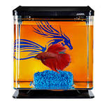 Marina Betta Kit Blue Dragon miniakvárium 2L