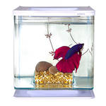 Marina Betta Kit Modern Art miniakvárium 2L