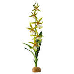 ExoTerra Rainforest Plant Spider Orchid 40cm