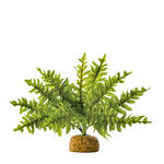 ExoTerra Rainforest Plant Boston Fern Medium 32cm