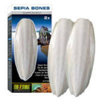 ExoTerra Sepia Bones Large szépiacsont 2db