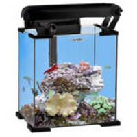 AquaEl Nano akvárium Reef Set 30 30x30x35cm