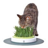 Hagen CatIt Senses Grass Garden macskafűnevelő