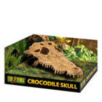 ExoTerra Crocodile Skull krokodilkoponya 15cm