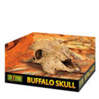 ExoTerra Buffalo Skull bölénykoponya 24cm