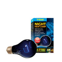 ExoTerra Night Heat Lamp 75W