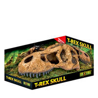 ExoTerra T-Rex Skull zsarnokgyík koponya 25cm
