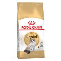 Royal Canin Ragdoll Adult fajtatáp 10kg