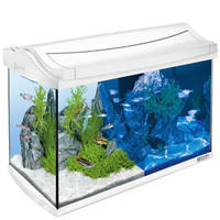 Tetra AquaArt LED akvárium készlet Fehér 60L