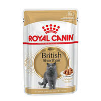 Royal Canin British Shorthair Adult nedveseledel 85g