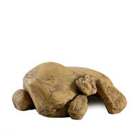 ExoTerra Reptile Cave Medium hüllőbarlang 20x17x8cm