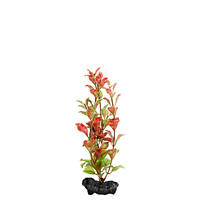Tetra DecoArt Red Ludwigia Small 15cm