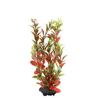 Tetra DecoArt Red Ludwigia Medium 23cm
