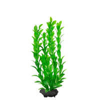 Tetra DecoArt Hygrophila Medium 23cm