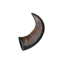 Trixie Buffalo Chewing Horn Bivalyszarv medium