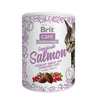 Brit Care Cat Snack Superfruits Salmon Sterilised 100g