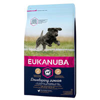Eukanuba Developing Junior Large Breed 15kg