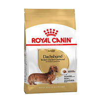 Royal Canin Dachshund Adult 500g