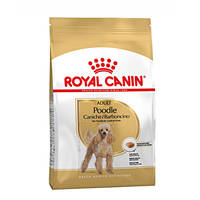 Royal Canin Poodle Adult Uszkár 7,5kg