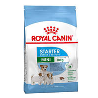 Royal Canin Mini Starter Mother Babydog 1kg