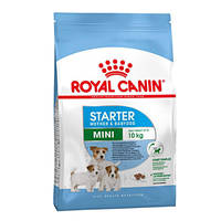 Royal Canin Mini Starter Mother Babydog 4kg