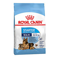 Royal Canin Maxi Starter Mother Babydog 1kg